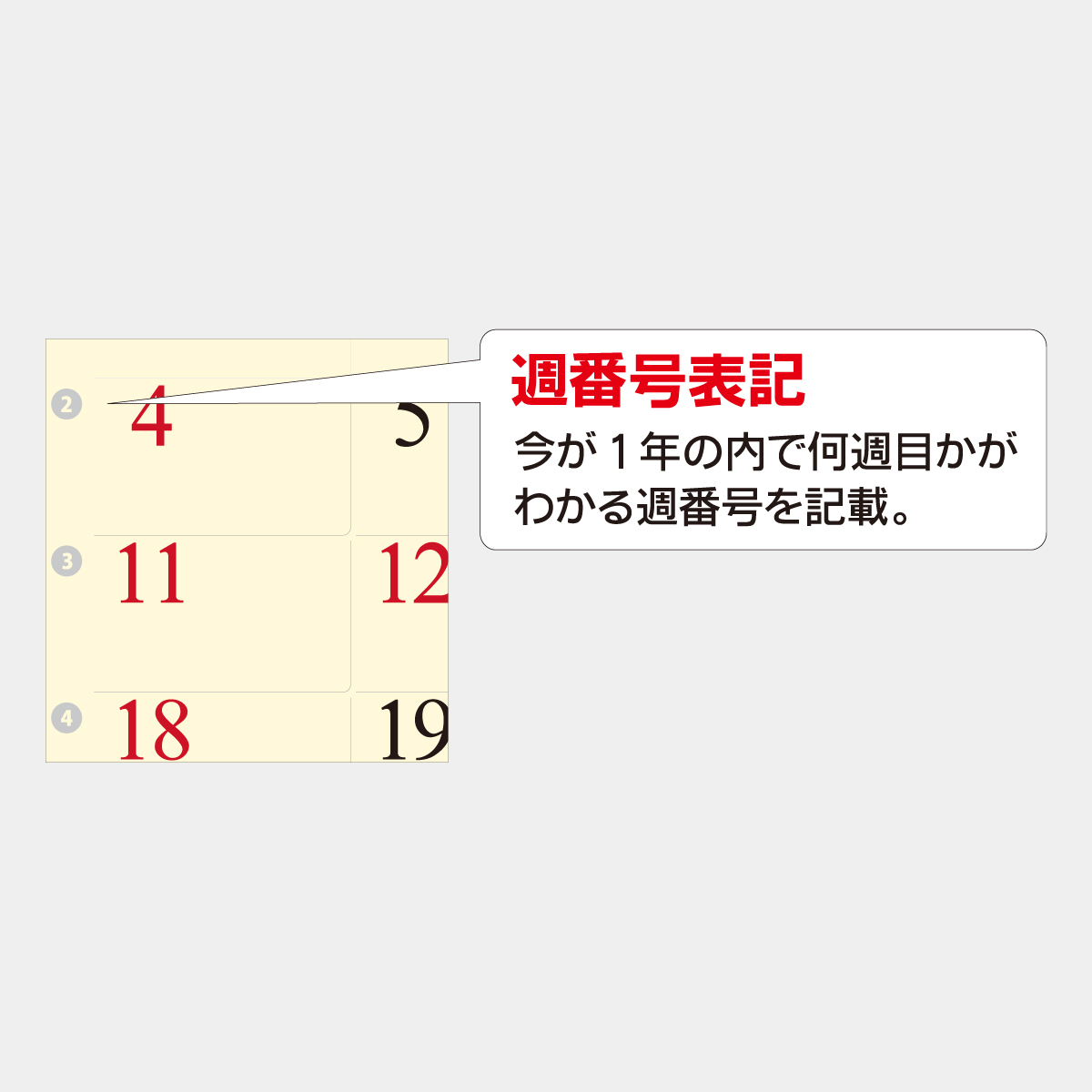 SA-384 クリームスタイル