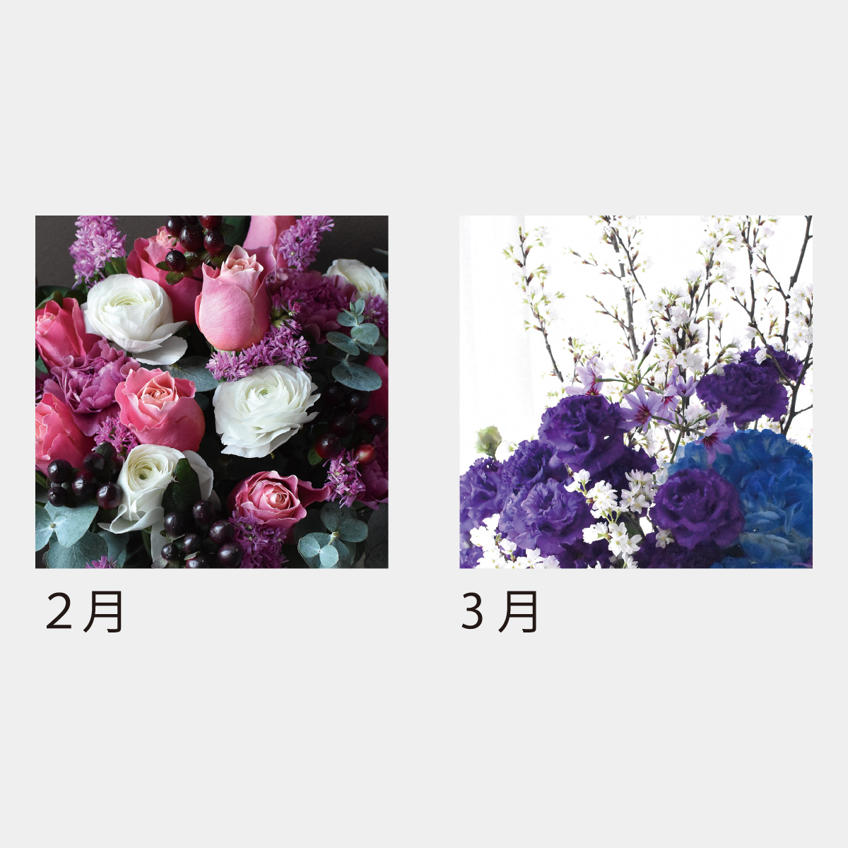 SA-503 フラワーデスク（フルカラー）