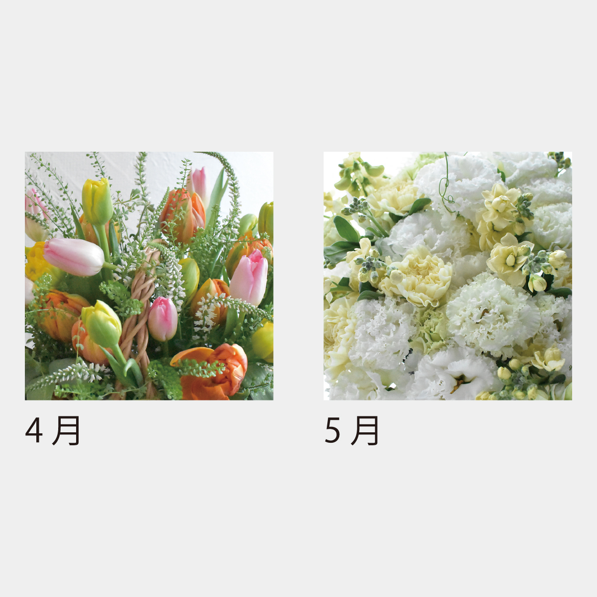 SA-503 フラワーデスク（フルカラー）