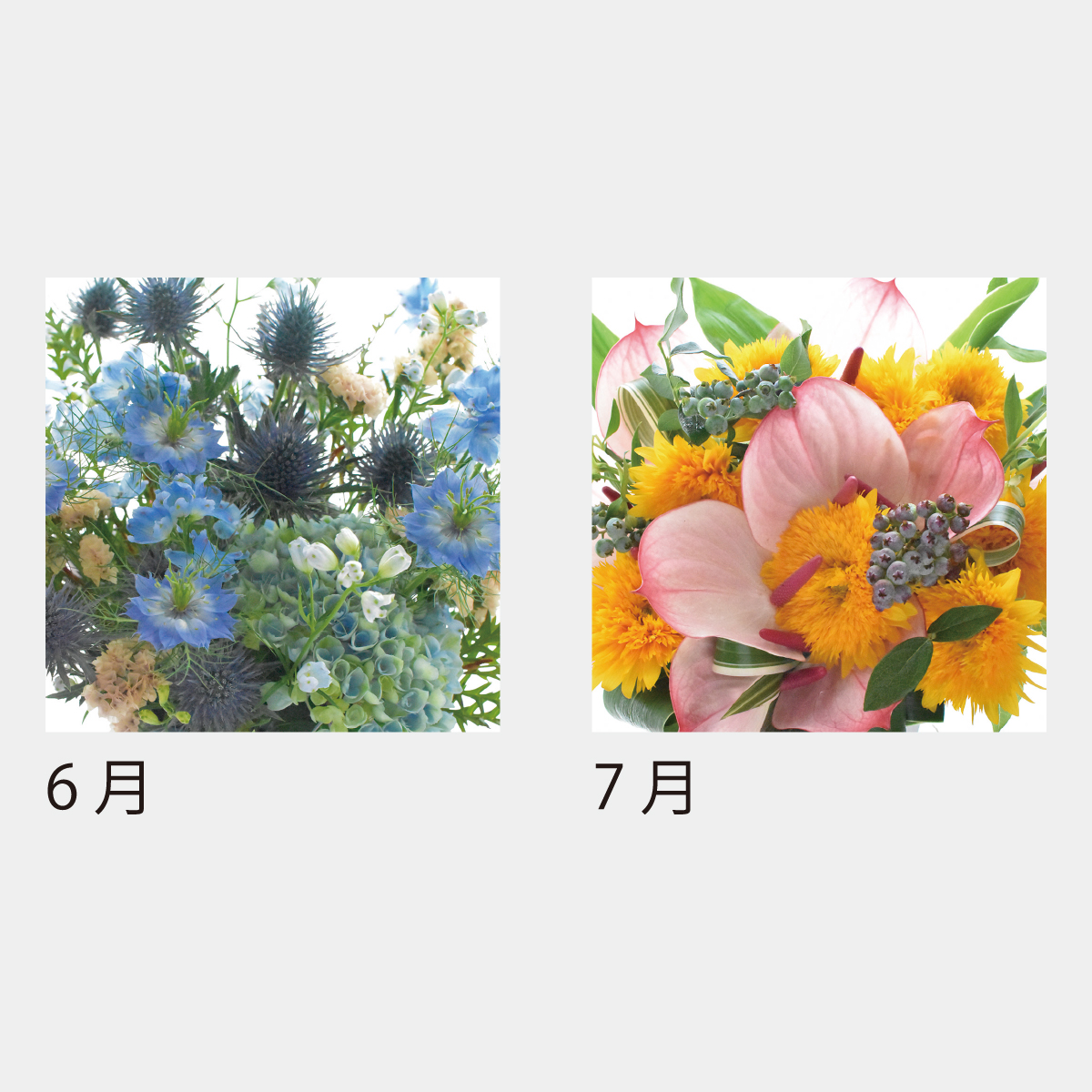 SA-503 フラワーデスク（フルカラー）