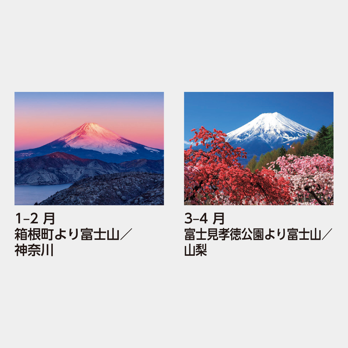富士山デザインスキレット〜文字入れ可〜 富士山デザインスキレット〜文字入れ可〜