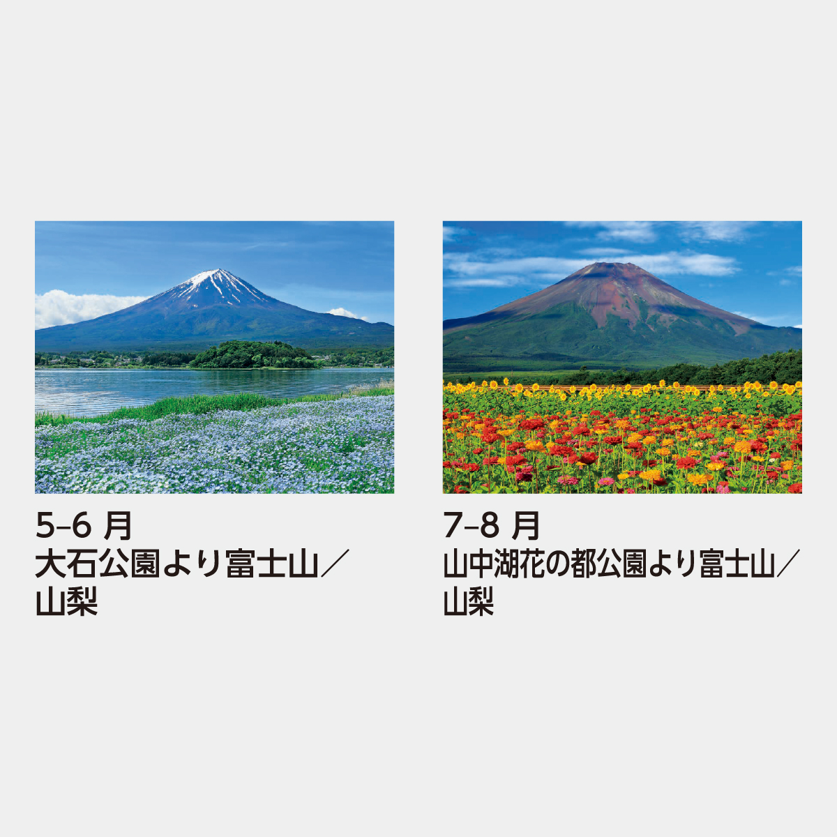 SB-020 富士山〔世界文化遺産〕