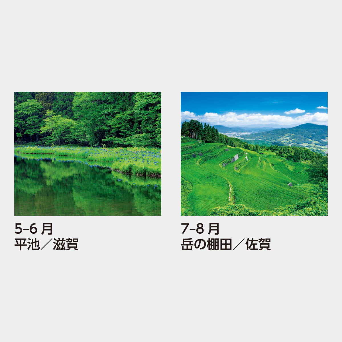 SB-031 美しい緑2026年版の名入れカレンダーを格安で販売 - 名