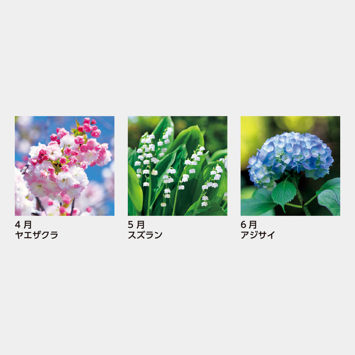 SB-150 リビングカレンダー(ポケット付)
