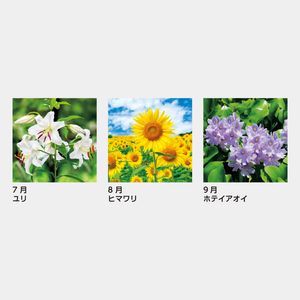 SB-150 リビングカレンダー(ポケット付)