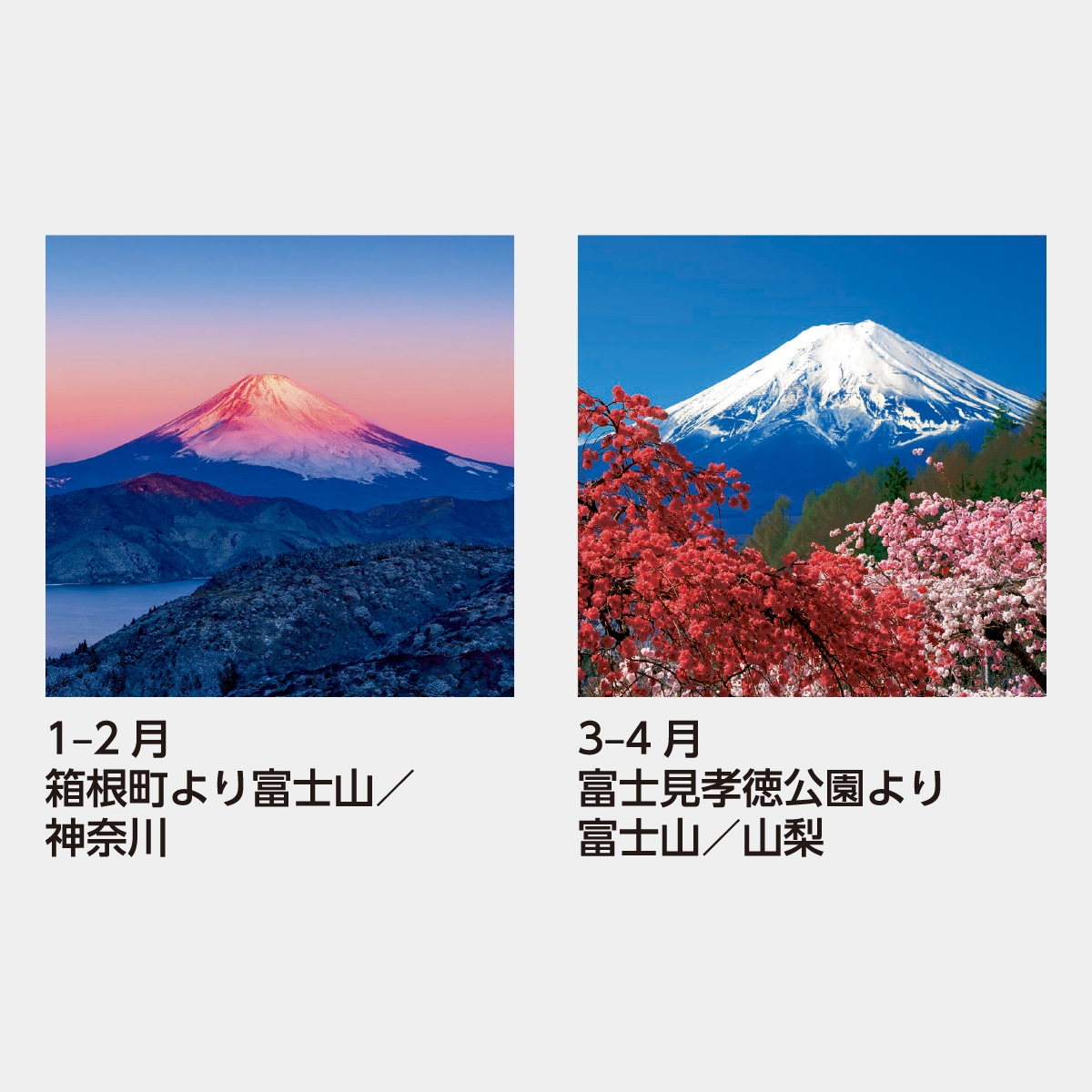 SB-250 【フィルム】富士山