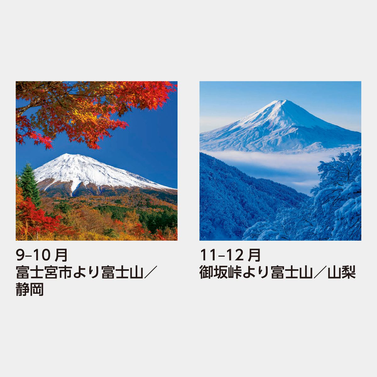 SB-250 【フィルム】富士山2026年版の名入れカレンダーを格安で