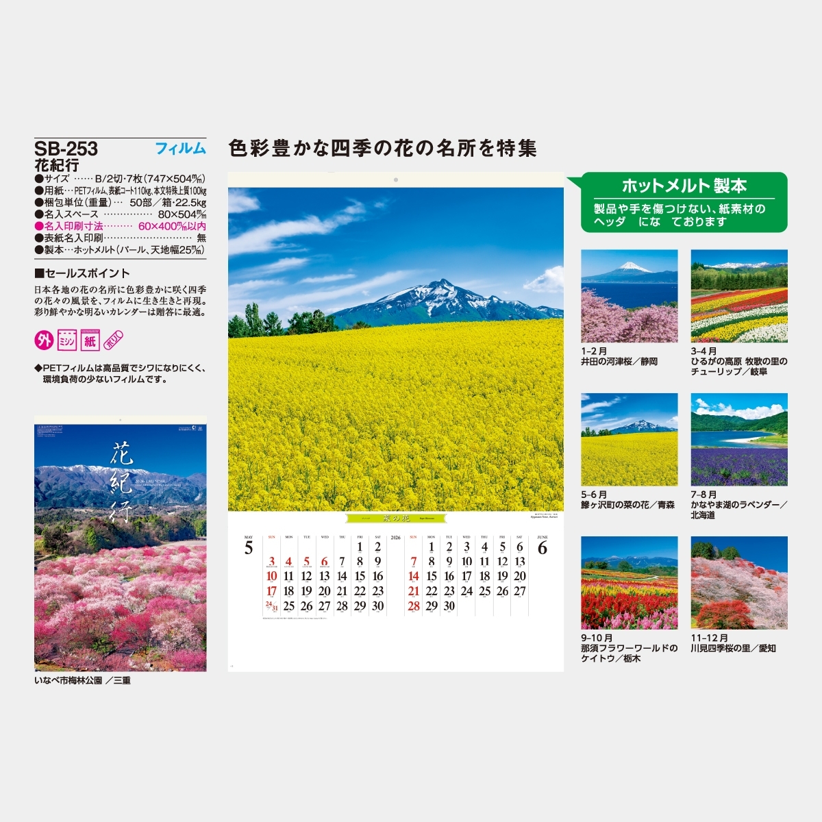 初美沙希 2016年 サイン入り B2 カレンダー 岡田紗佳 直筆サイン入り カレンダー 2025 ×4本 Amazon | トライ