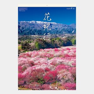 SB-253 【フィルム】花紀行