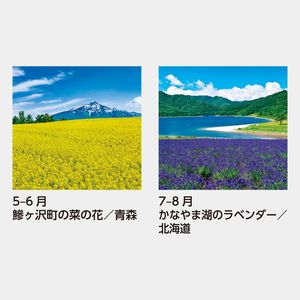 SB-253 【フィルム】花紀行