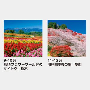 SB-253 【フィルム】花紀行