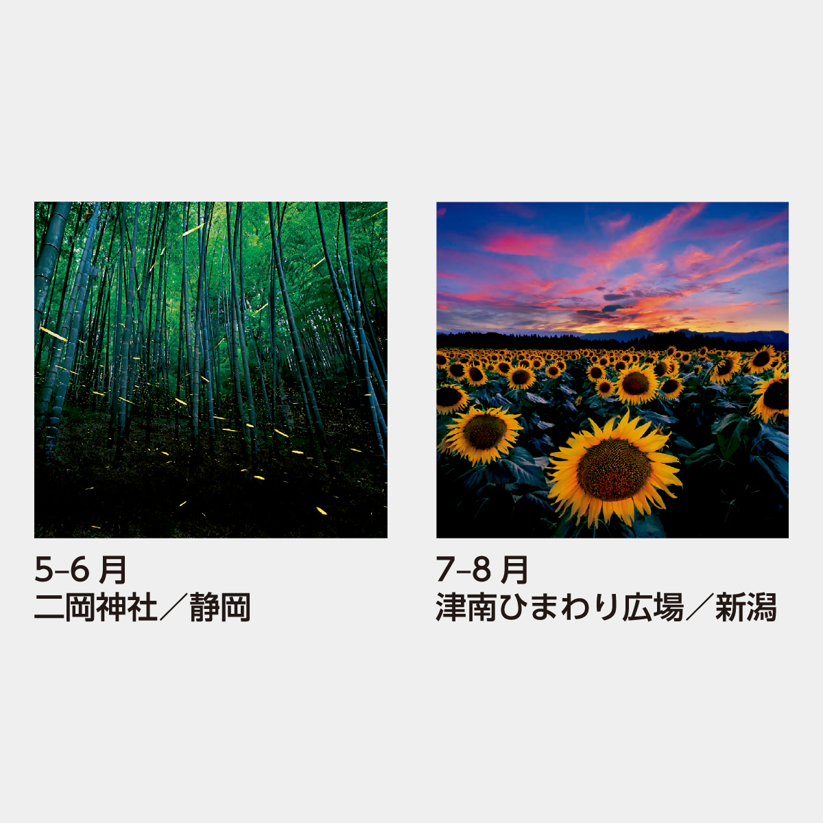 SB-255 【フィルム】川隅功作品集(やすらぎへの誘い)2026年版の
