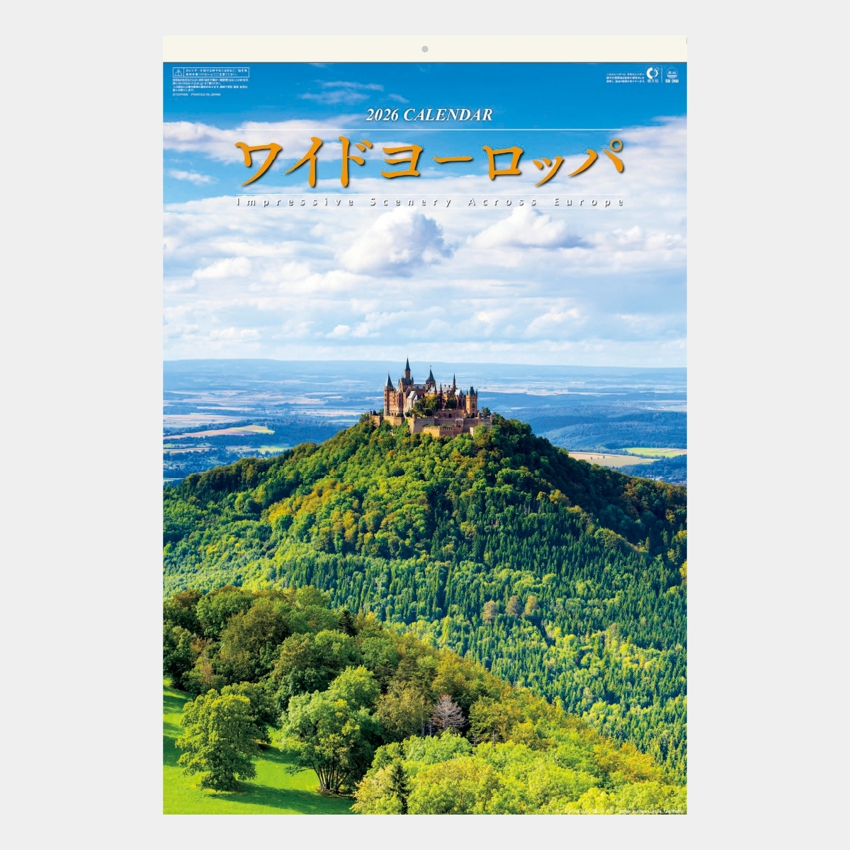 2025年 令和7年 特大壁掛けカレンダー フィルム ワイド