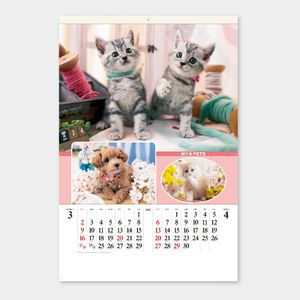 SB-270 【フィルム】マイペット 名入れカレンダー  