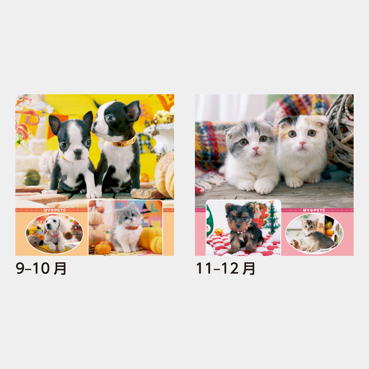 【送料無料】CREAM 掲載ページ（ポスターサイズ）#3996 SB-270 【フィルム】マイペット2026年版の名入れカレンダーを