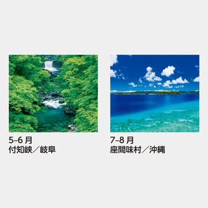 SB-279 【フィルム】四季の彩　