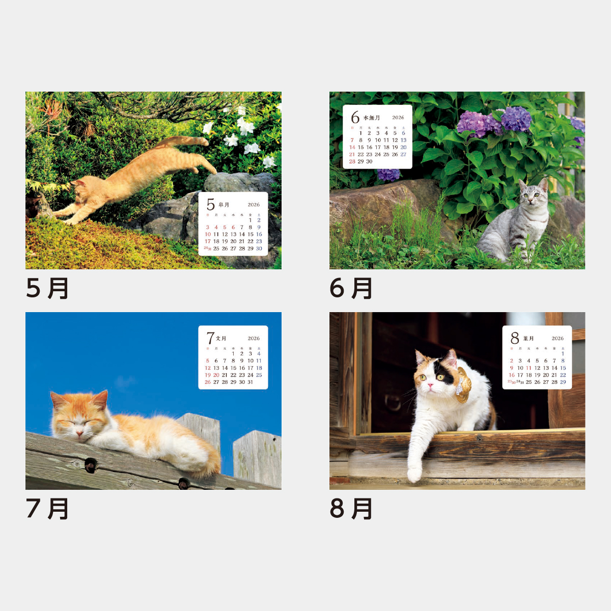 おまとめご購入用ページ P251124.jpg