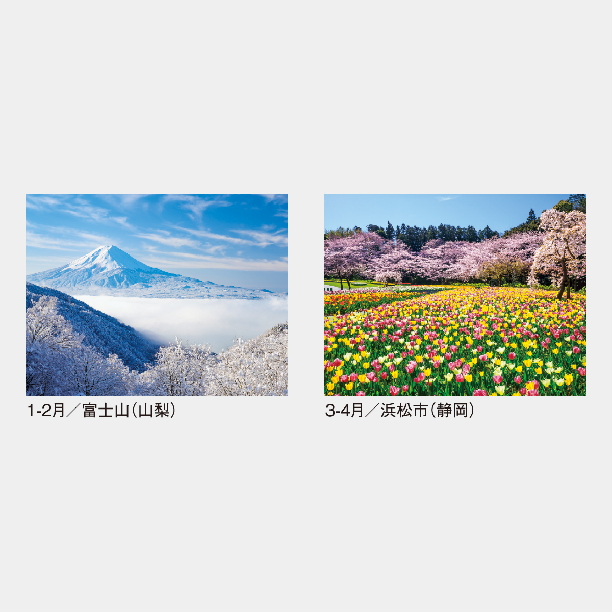 SG-105 日本の四季