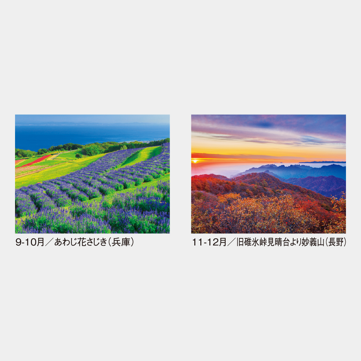 SG-105 日本の四季