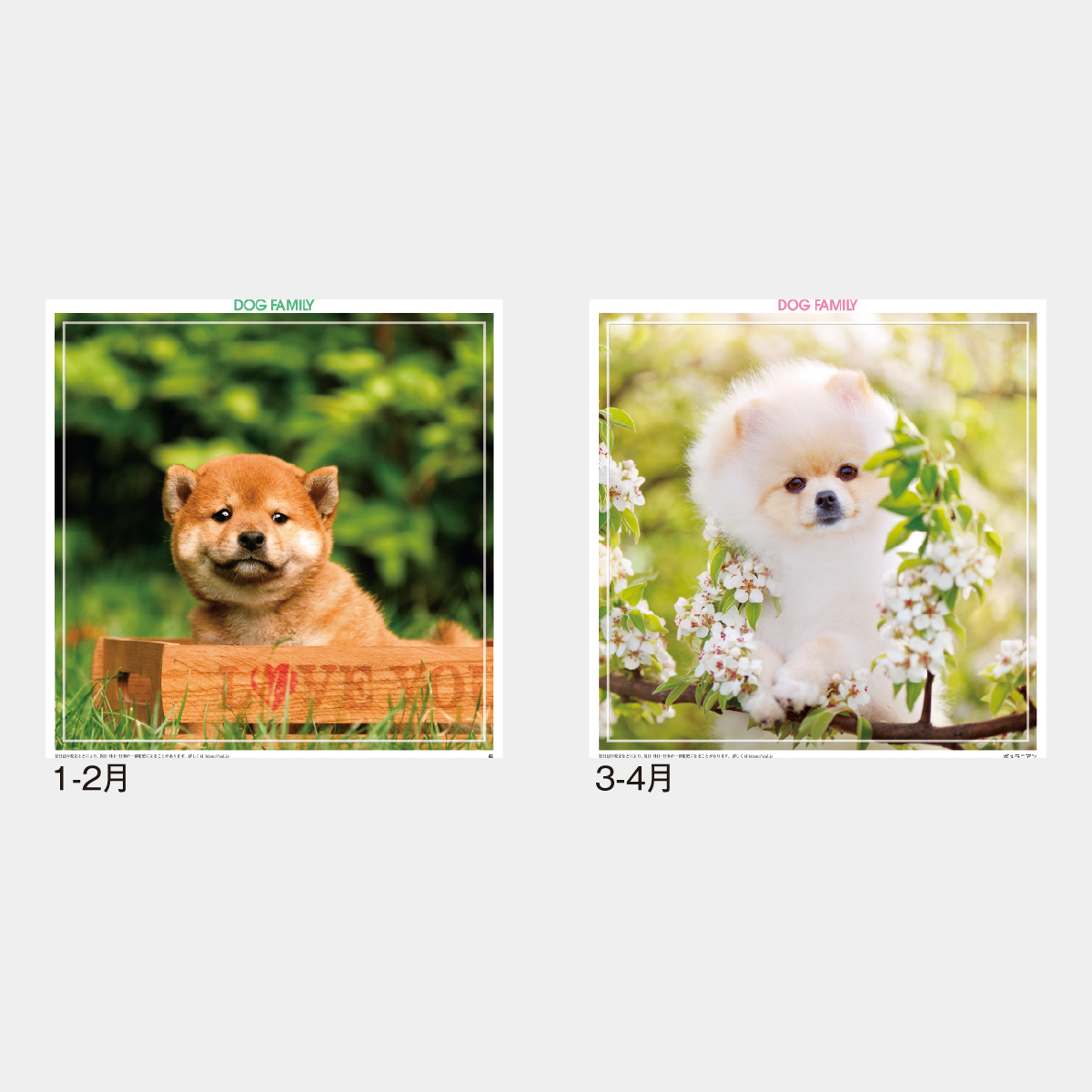 SG-142 ドッグファミリー