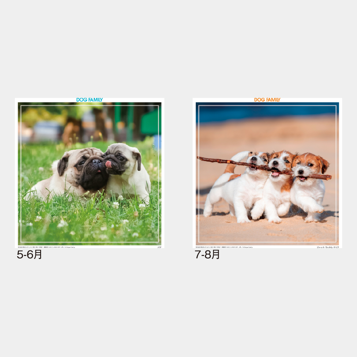 SG-142 ドッグファミリー