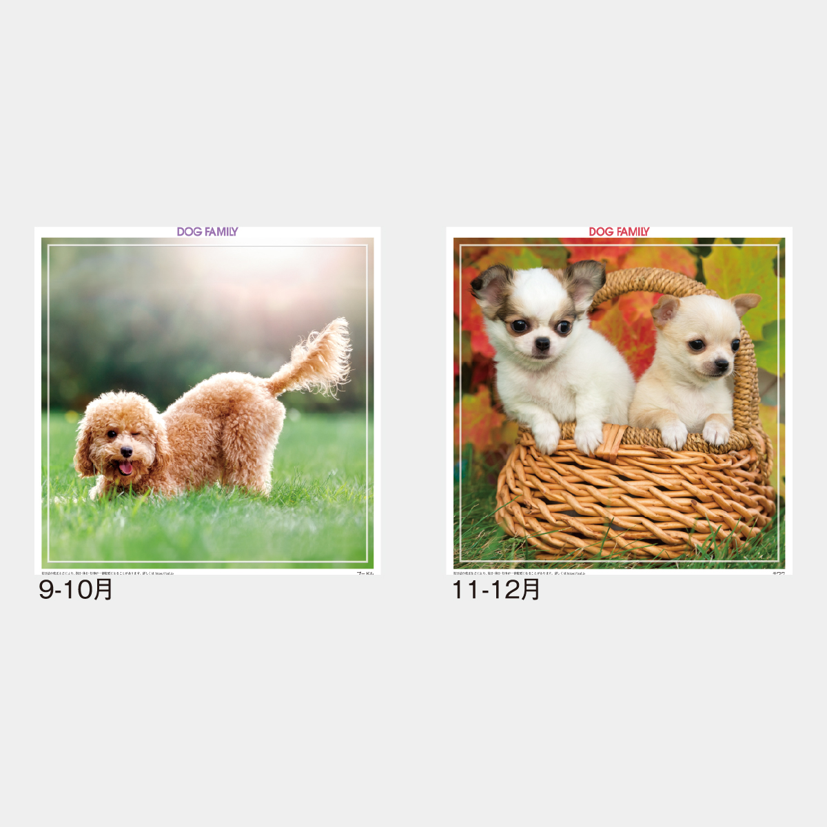 SG-142 ドッグファミリー