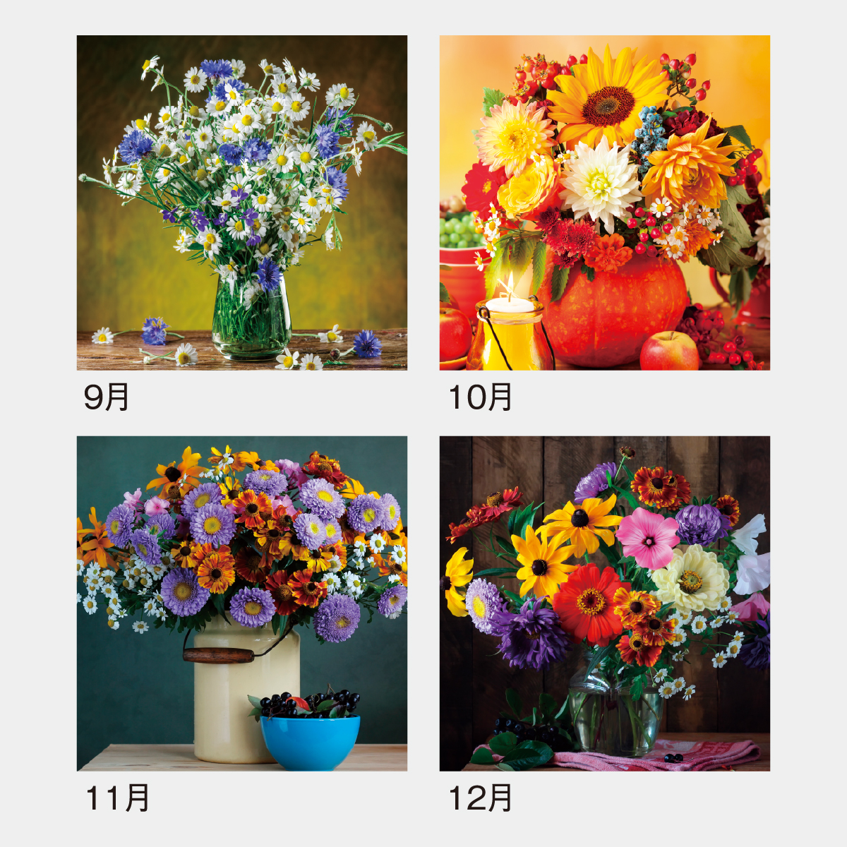 SG-158 フラワーズ