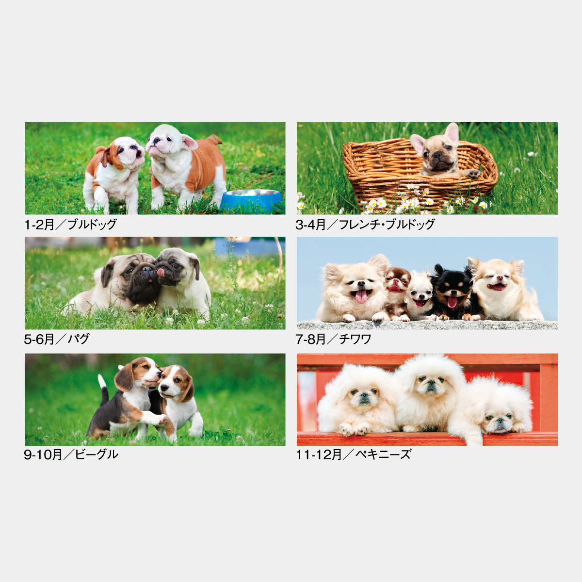 SG-197 THE DOGS〔ミシン目入〕