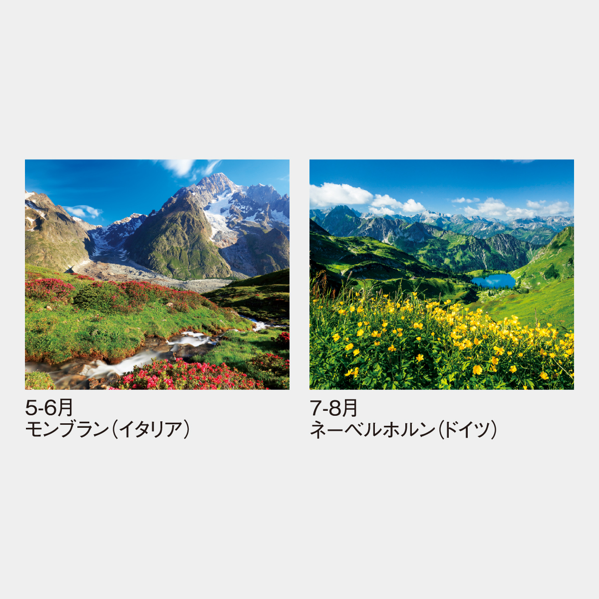 新着商品 | アイテム一覧 | エスパルス公式オンラインストア