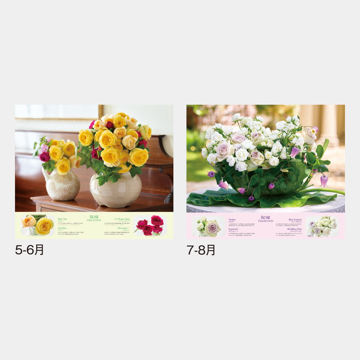 SG-220 ROSE COLLECTION－ローズコレクション－