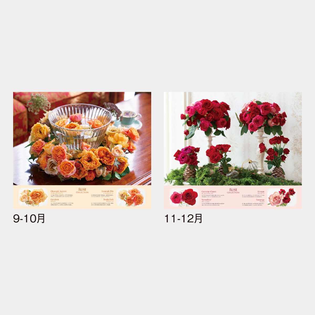 SG-220 ROSE COLLECTION－ローズコレクション－