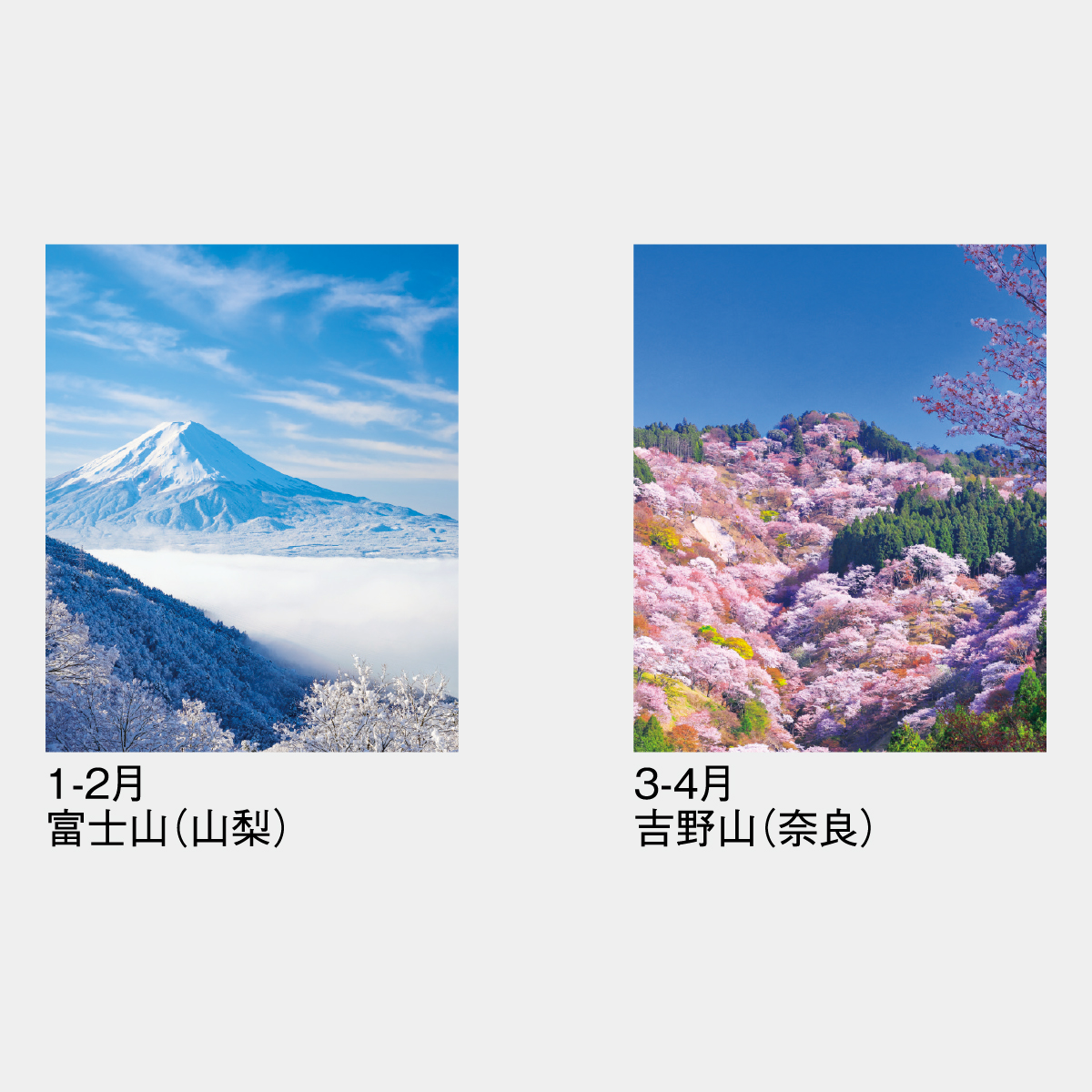 SG-228 四季のスケジュール