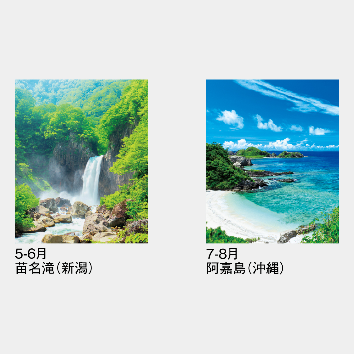 SG-228 四季のスケジュール