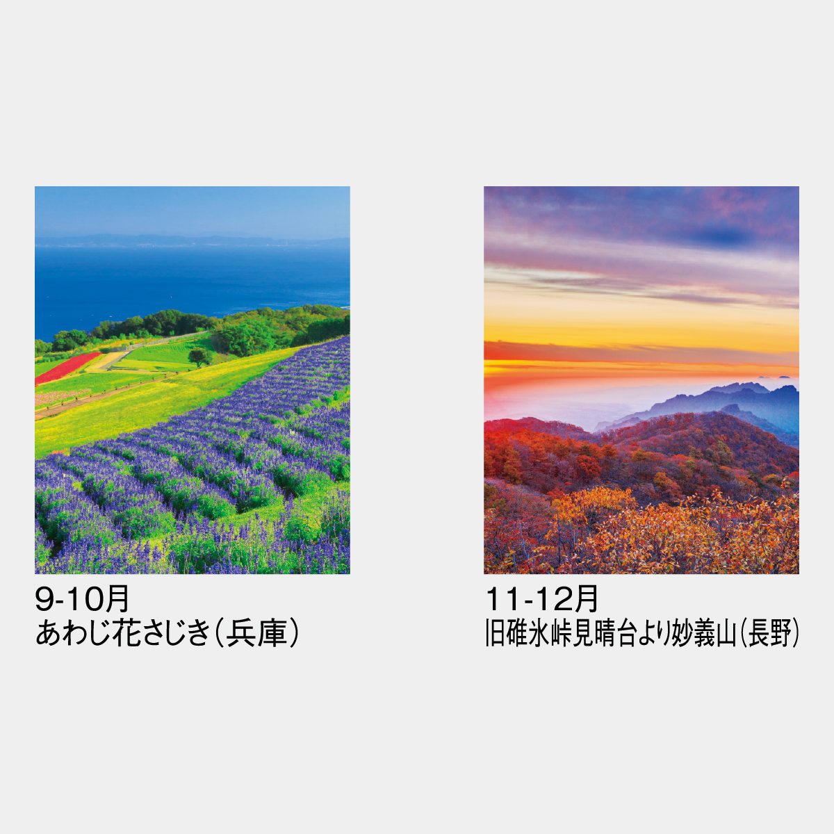 SG-228 四季のスケジュール