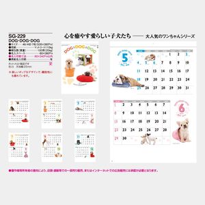 SG-229 DOG･DOG･DOG
