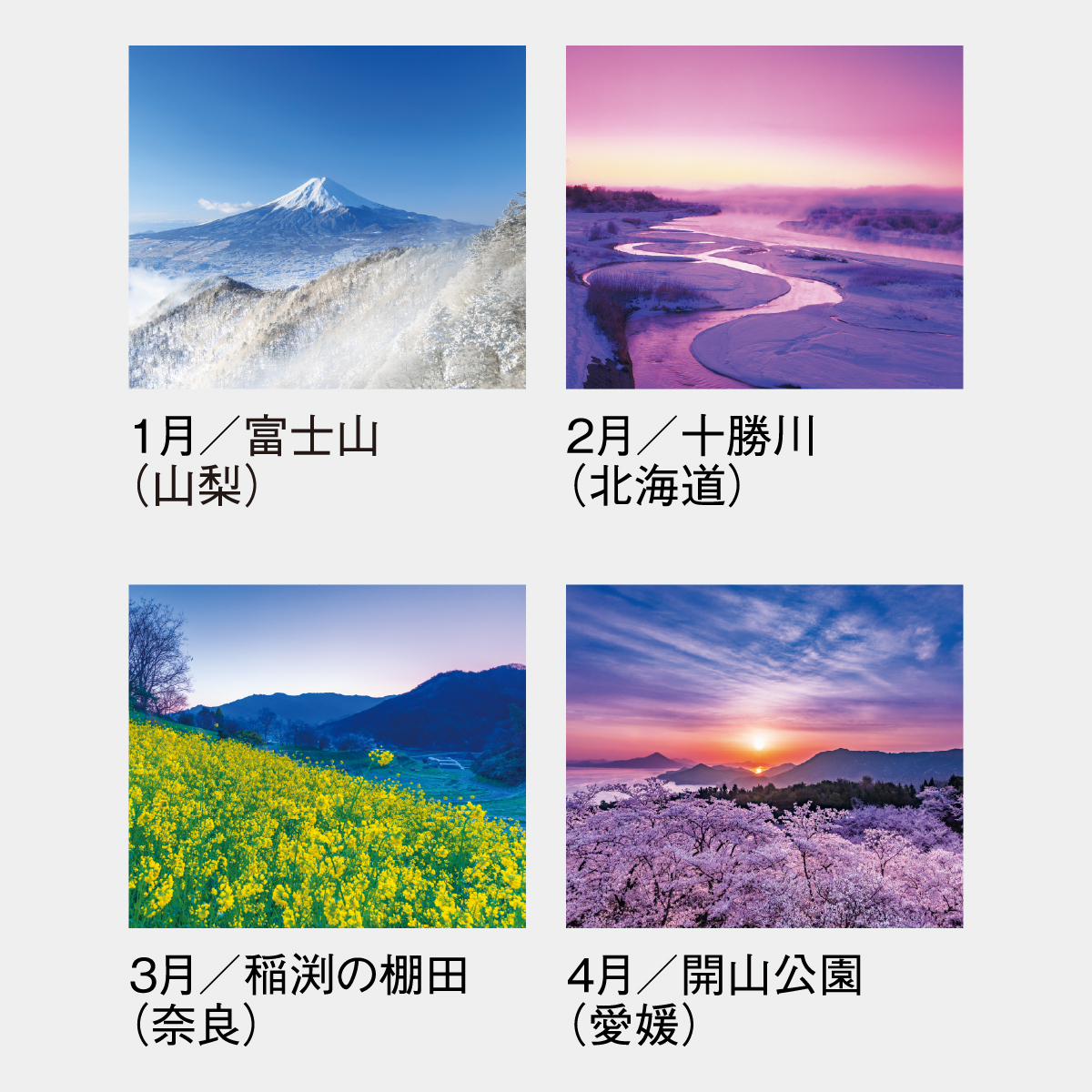 SG-263 四季十二彩(小)