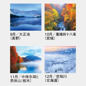 SG-263 四季十二彩(小)