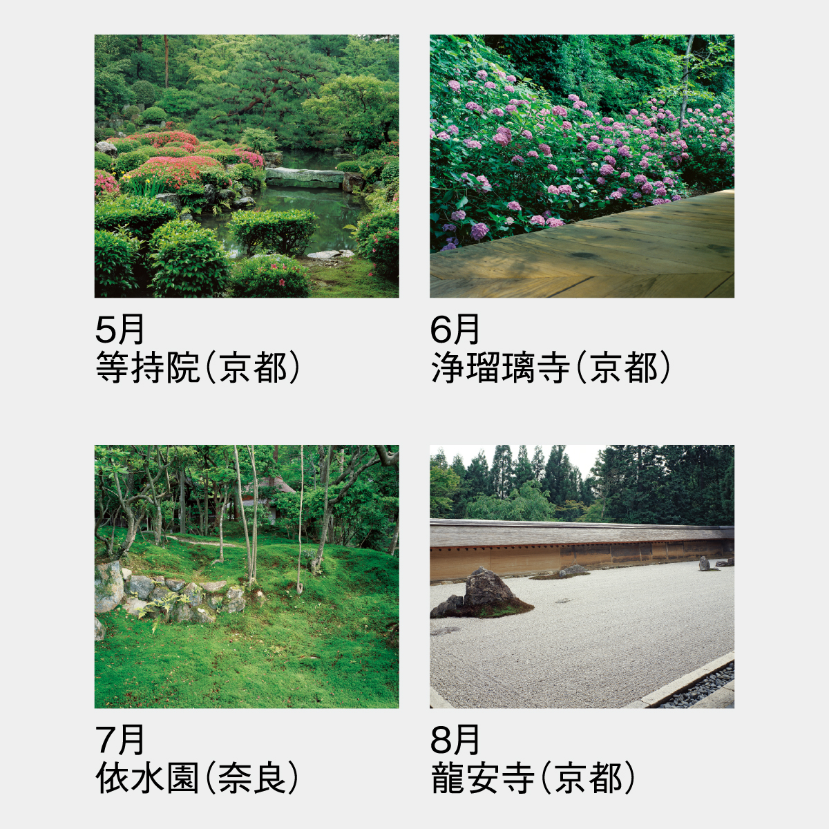 SG-264 庭･四季詩情