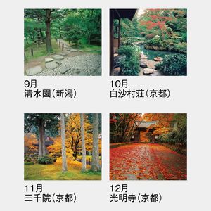 SG-264 庭･四季詩情