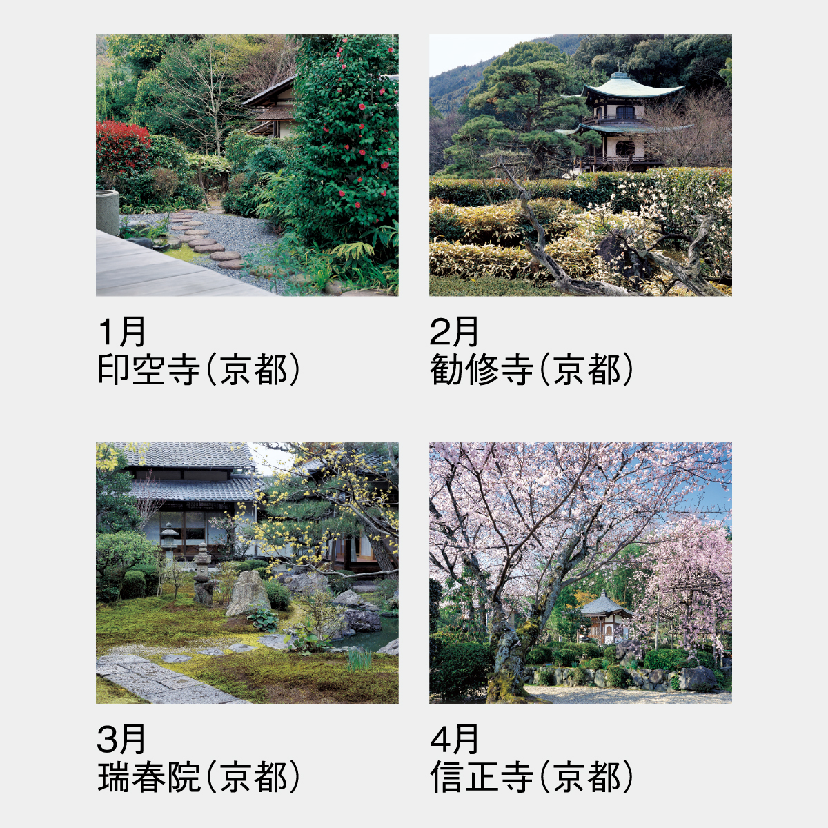 SG-282 詩情･庭メモリー