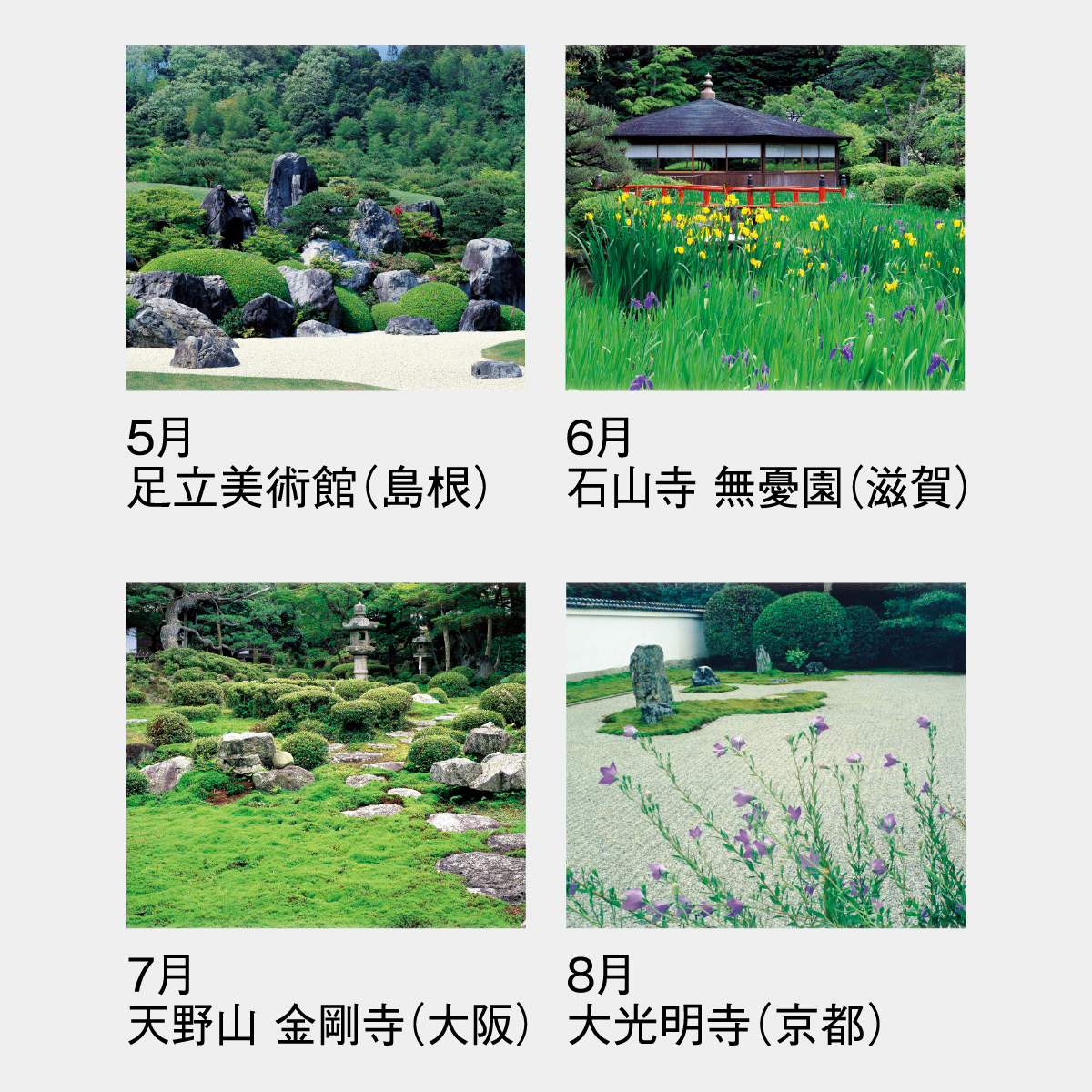 SG-282 詩情･庭メモリー