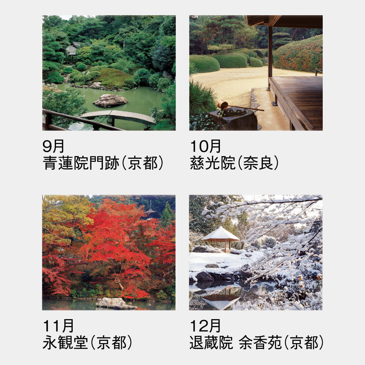 SG-282 詩情･庭メモリー