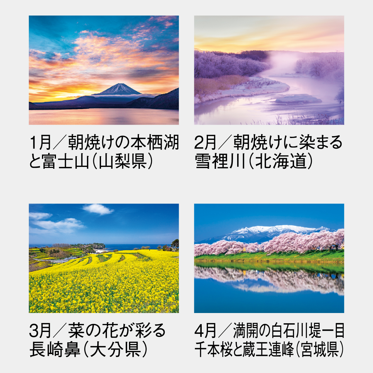【桜清水】 会員証ケース 会報 カレンダー セット 日本製ハードケースタイプB6サイズ対応カレンダーケースGX