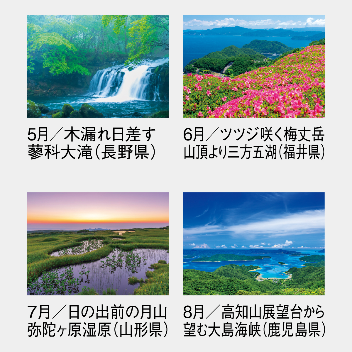 SG-294 四季水景