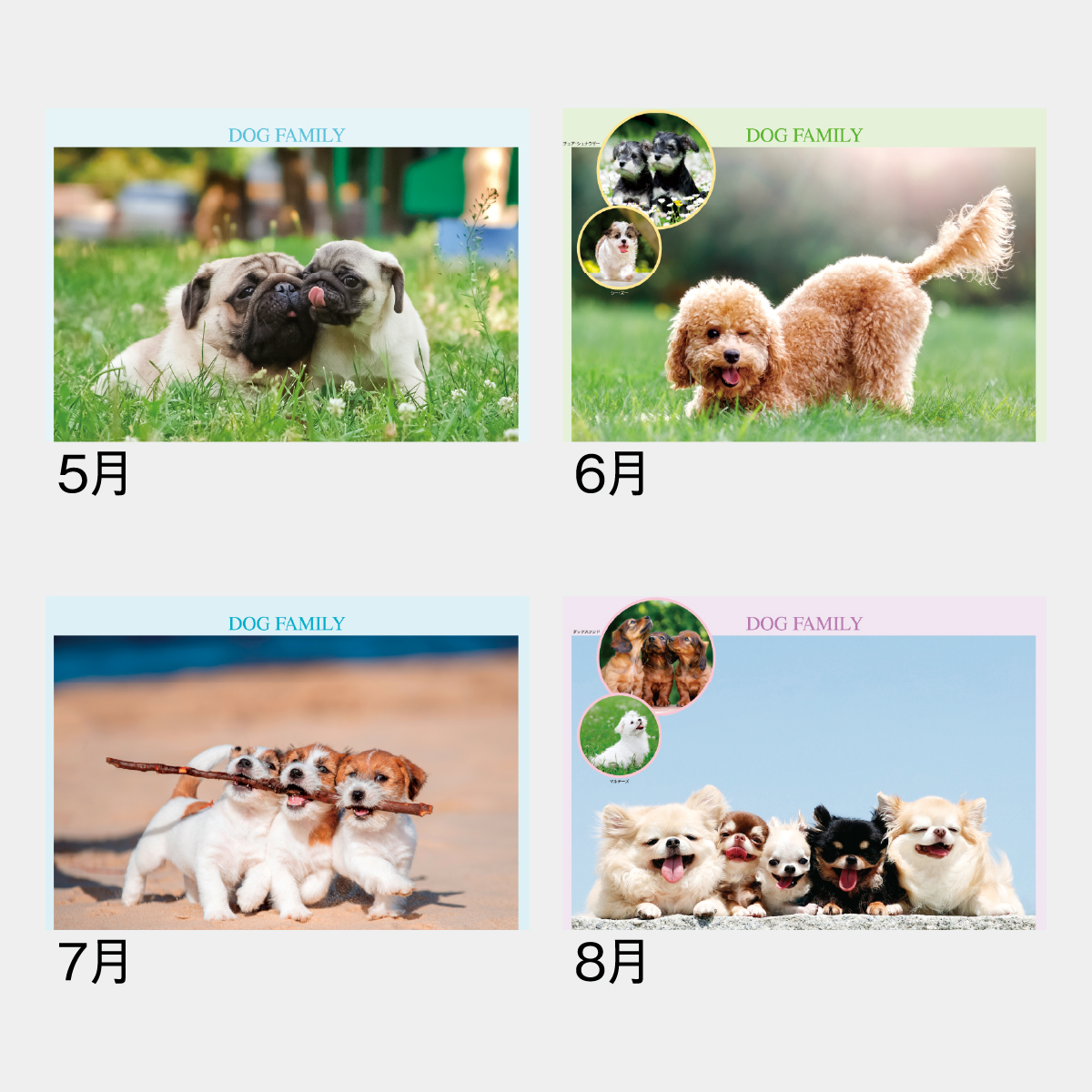 SG-295 ドッグファミリー