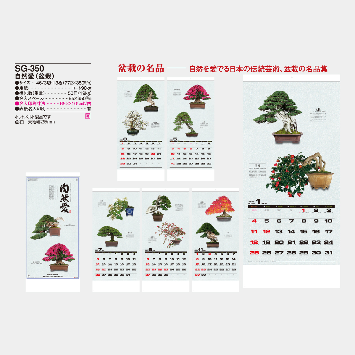 SG-350 自然愛･盆栽(大)