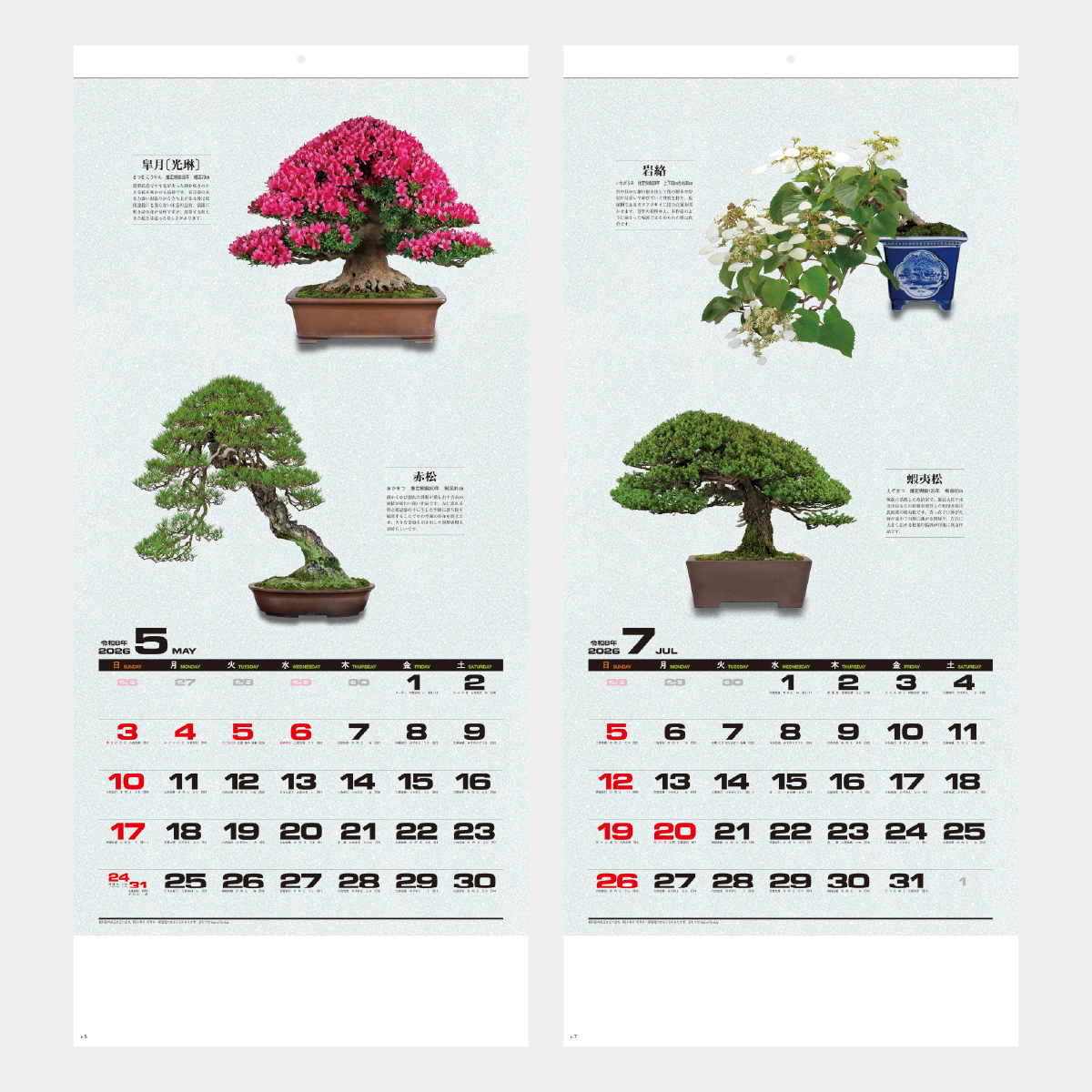 SG-350 自然愛･盆栽(大)