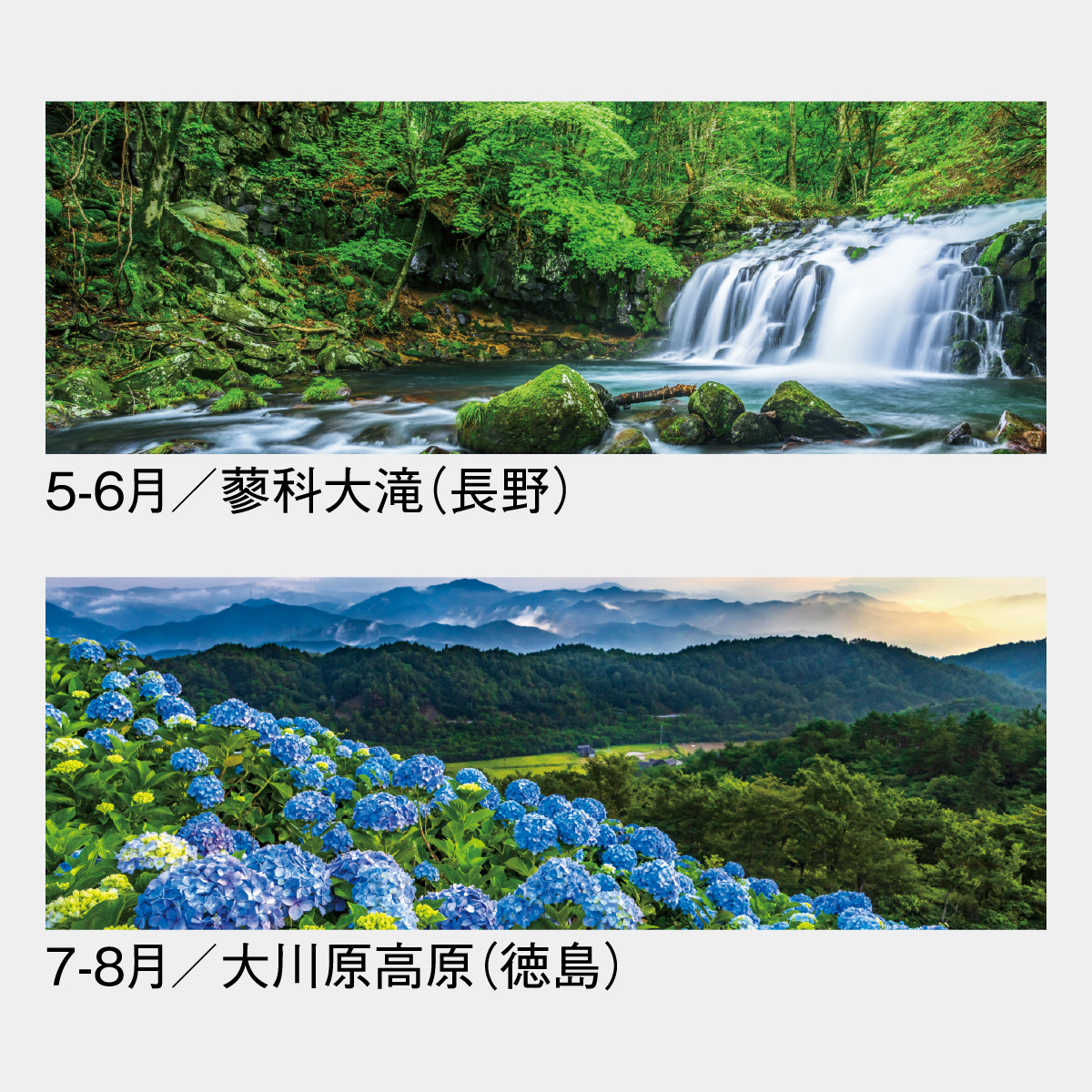 SG-400 彩紀行〔ミシン目入〕