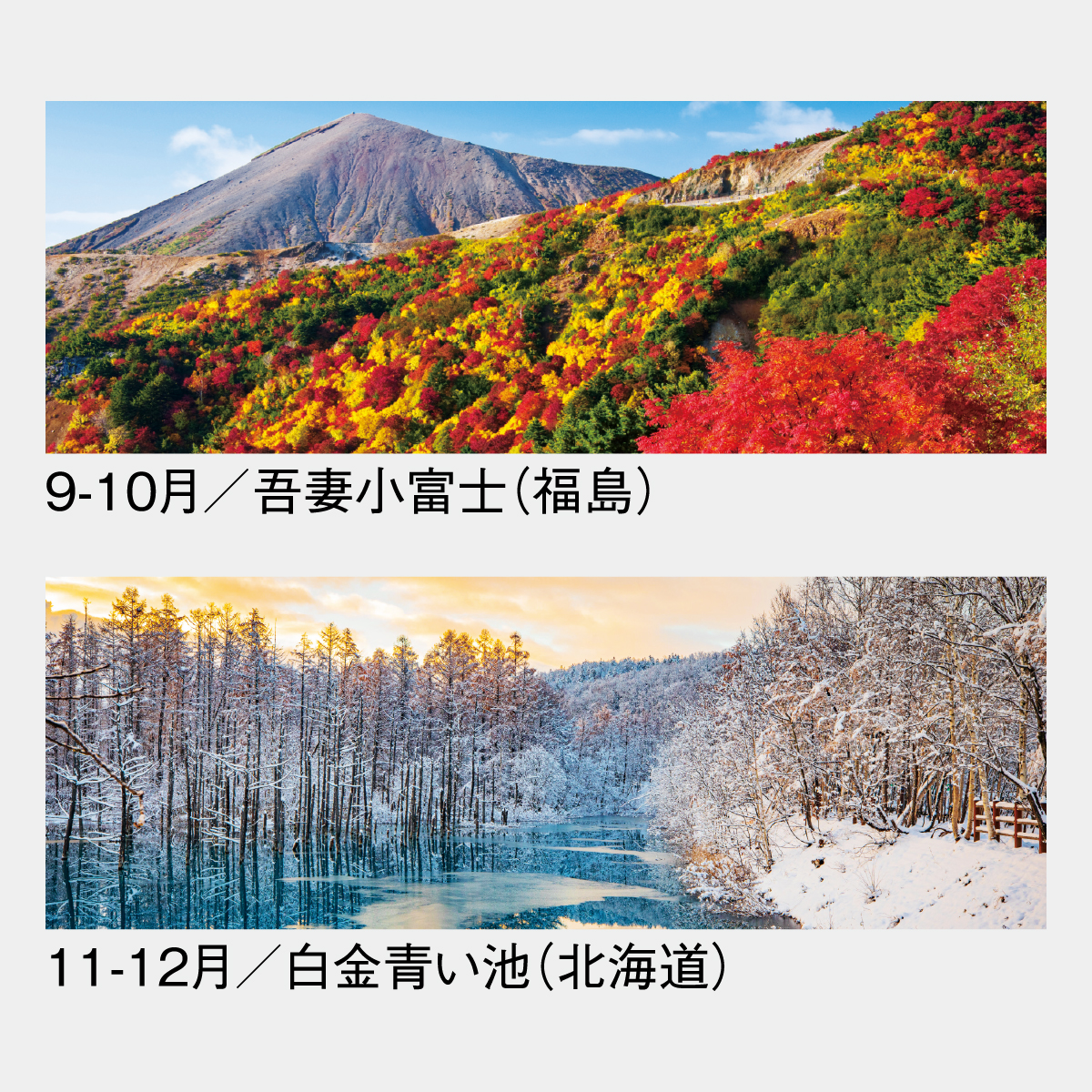 SG-400 彩紀行〔ミシン目入〕