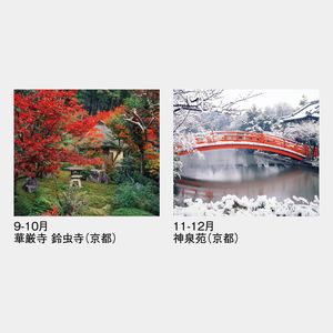 SG-401 庭の心